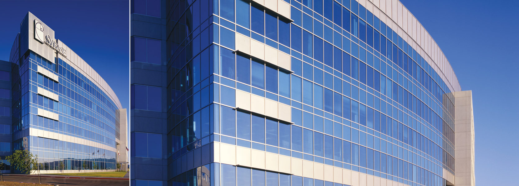 Sybase